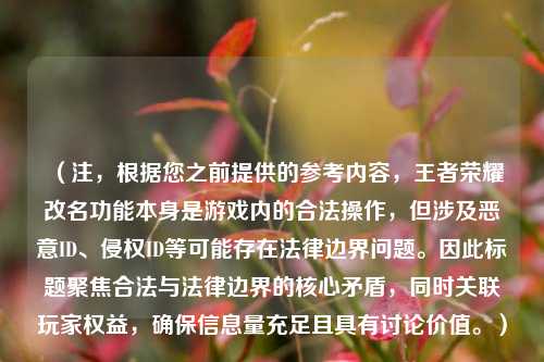 （注，根据您之前提供的参考内容，王者荣耀改名功能本身是游戏内的合法操作，但涉及恶意ID、侵权ID等可能存在法律边界问题。因此标题聚焦合法与法律边界的核心矛盾，同时关联玩家权益，确保信息量充足且具有讨论价值。）