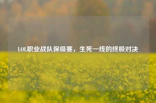 LOL职业战队保级赛，生死一线的终极对决