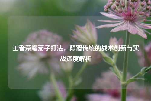 王者荣耀茄子打法，颠覆传统的战术创新与实战深度解析