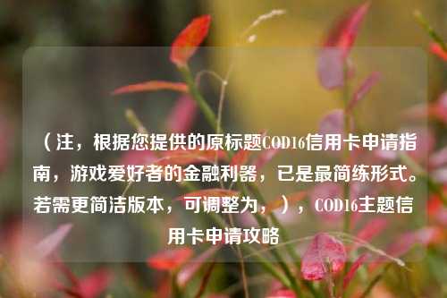 （注，根据您提供的原标题COD16信用卡申请指南，游戏爱好者的金融利器，已是最简练形式。若需更简洁版本，可调整为，），COD16主题信用卡申请攻略