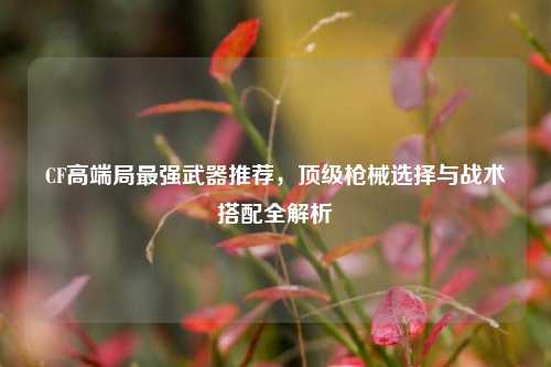 CF高端局最强武器推荐，顶级枪械选择与战术搭配全解析