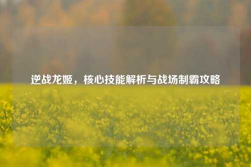 逆战龙姬,核心技能解析与战场制霸攻略