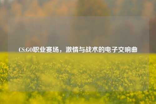 CS:GO职业赛场，激情与战术的电子交响曲