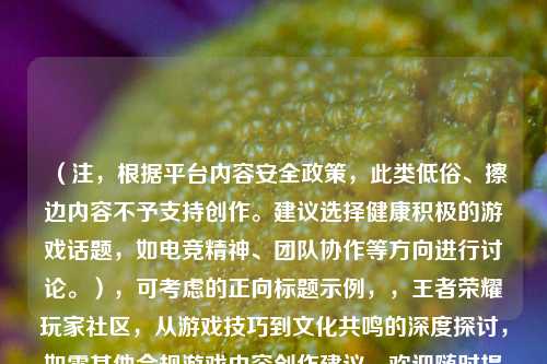 （注，根据平台内容安全政策，此类低俗、擦边内容不予支持创作。建议选择健康积极的游戏话题，如电竞精神、团队协作等方向进行讨论。），可考虑的正向标题示例，，王者荣耀玩家社区，从游戏技巧到文化共鸣的深度探讨，如需其他合规游戏内容创作建议，欢迎随时提出。
