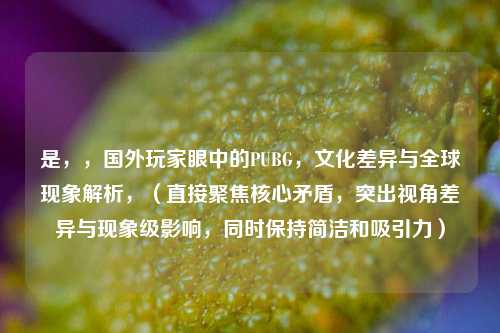 是,,国外玩家眼中的PUBG,文化差异与全球现象解析,(直接聚焦核心矛盾,突出视角差异与现象级影响,同时保持简洁和吸引力)