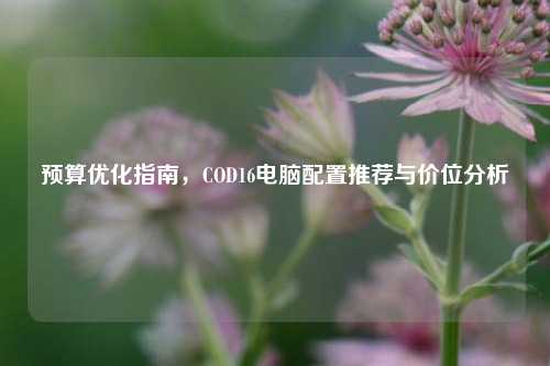 预算优化指南，COD16电脑配置推荐与价位分析