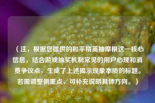 （注，根据您提供的和平精英抽摩根这一核心信息，结合游戏抽奖机制常见的用户心理和消费争议点，生成了上述揭示现象本质的标题。若需调整侧重点，可补充说明具体方向。）