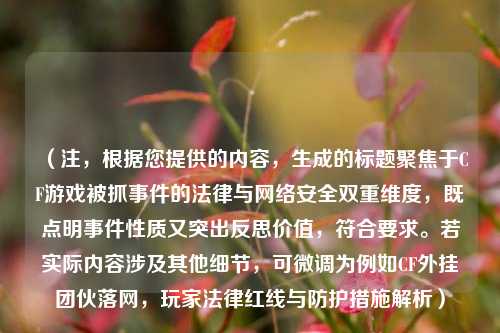 (注,根据您提供的内容,生成的标题聚焦于CF游戏被抓事件的法律与网络安全双重维度,既点明事件性质又突出反思价值,符合要求。若实际内容涉及其他细节,可微调为例如CF外挂团伙落网,玩家法律红线与防护措施解析)