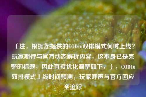 （注，根据您提供的COD16双排模式何时上线？玩家期待与官方动态解析内容，这本身已是完整的标题，因此直接优化调整如下，），COD16双排模式上线时间预测，玩家呼声与官方回应全追踪