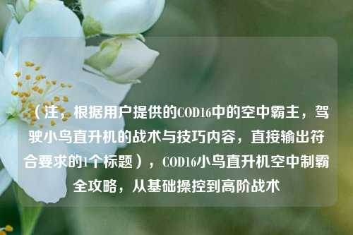 （注，根据用户提供的COD16中的空中霸主，驾驶小鸟直升机的战术与技巧内容，直接输出符合要求的1个标题），COD16小鸟直升机空中制霸全攻略，从基础操控到高阶战术