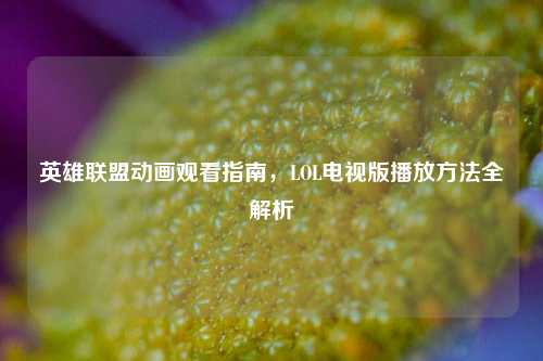 英雄联盟动画观看指南，LOL电视版播放方法全解析