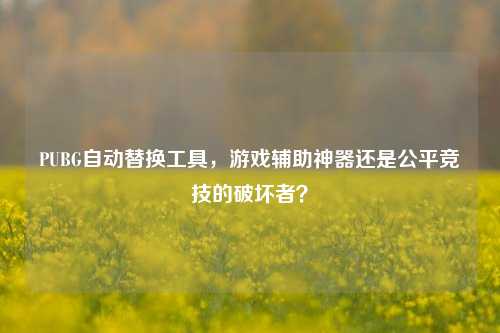 PUBG自动替换工具，游戏辅助神器还是公平竞技的破坏者？