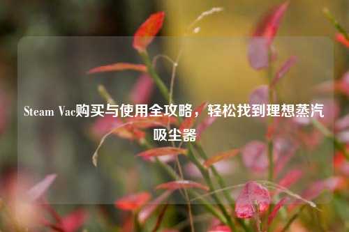 Steam Vac购买与使用全攻略，轻松找到理想蒸汽吸尘器