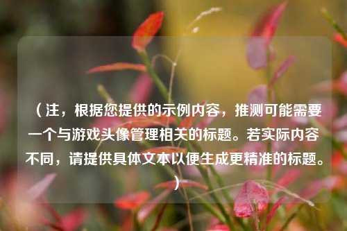 （注，根据您提供的示例内容，推测可能需要一个与游戏头像管理相关的标题。若实际内容不同，请提供具体文本以便生成更精准的标题。）