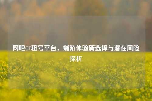 网吧CF租号平台，端游体验新选择与潜在风险探析