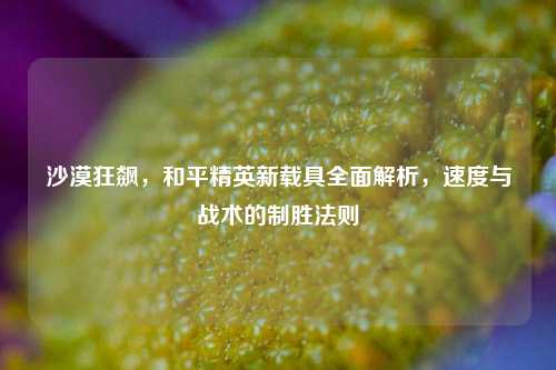 沙漠狂飙,和平精英新载具全面解析,速度与战术的制胜法则