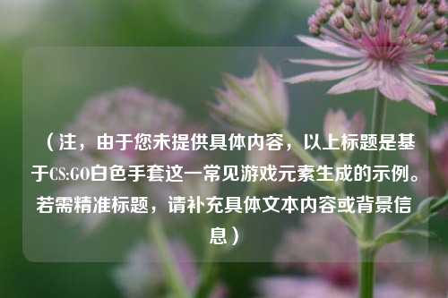 （注，由于您未提供具体内容，以上标题是基于CS:GO白色手套这一常见游戏元素生成的示例。若需精准标题，请补充具体文本内容或背景信息）