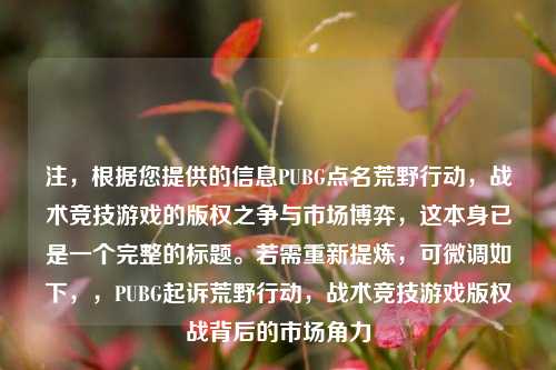 注，根据您提供的信息PUBG点名荒野行动，战术竞技游戏的版权之争与市场博弈，这本身已是一个完整的标题。若需重新提炼，可微调如下，，PUBG起诉荒野行动，战术竞技游戏版权战背后的市场角力