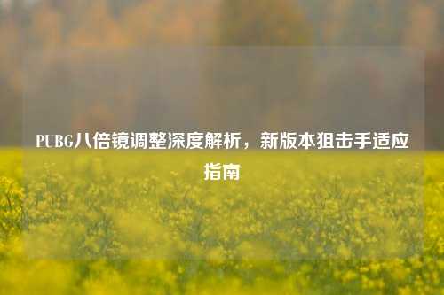 PUBG八倍镜调整深度解析，新版本狙击手适应指南