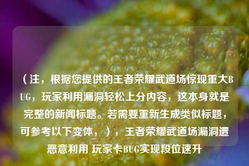 （注，根据您提供的王者荣耀武道场惊现重大BUG，玩家利用漏洞轻松上分内容，这本身就是完整的新闻标题。若需要重新生成类似标题，可参考以下变体，），王者荣耀武道场漏洞遭恶意利用 玩家卡BUG实现段位速升