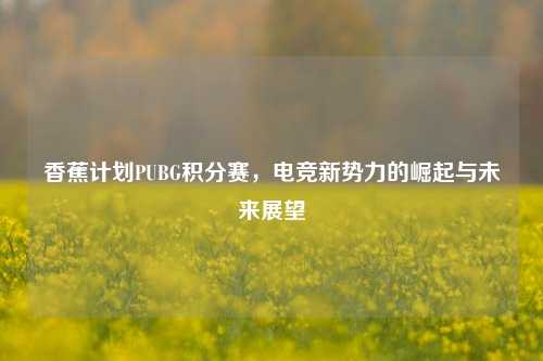 香蕉计划PUBG积分赛，电竞新势力的崛起与未来展望